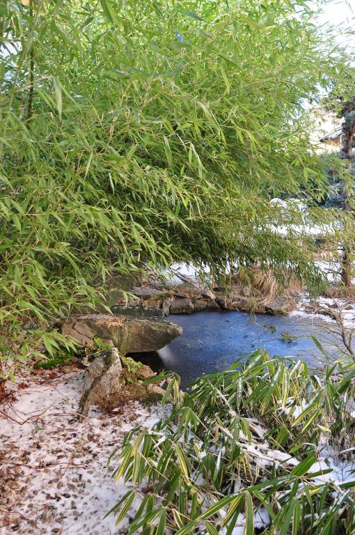 Hotel Lions Plzen - Resim 16