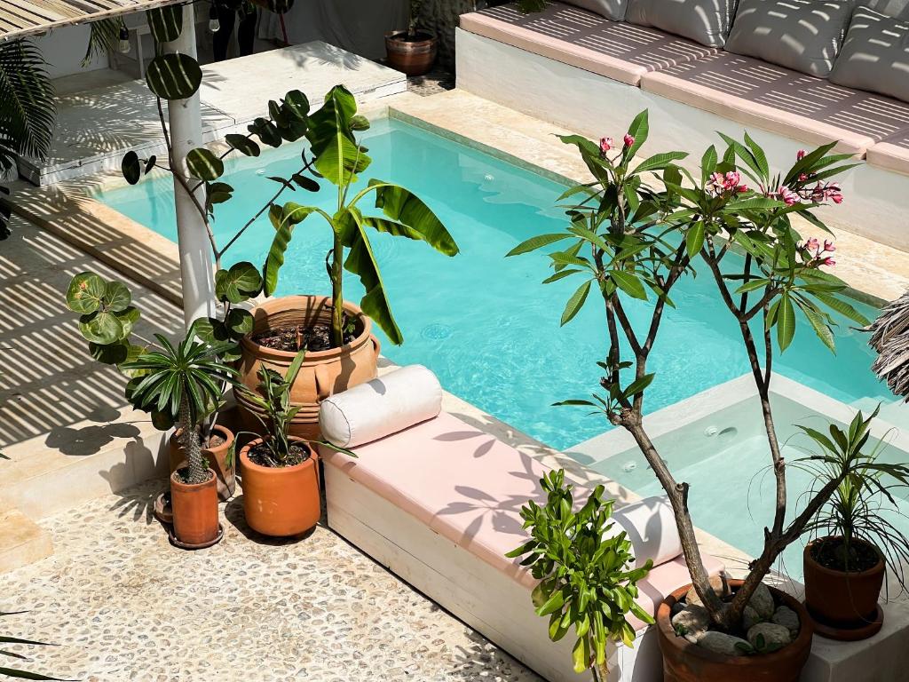 Πισίνα στο ή κοντά στο La Punta Rooms