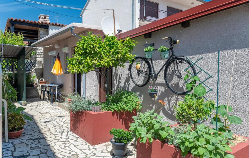 1 Bedroom Beautiful Apartment In Pula