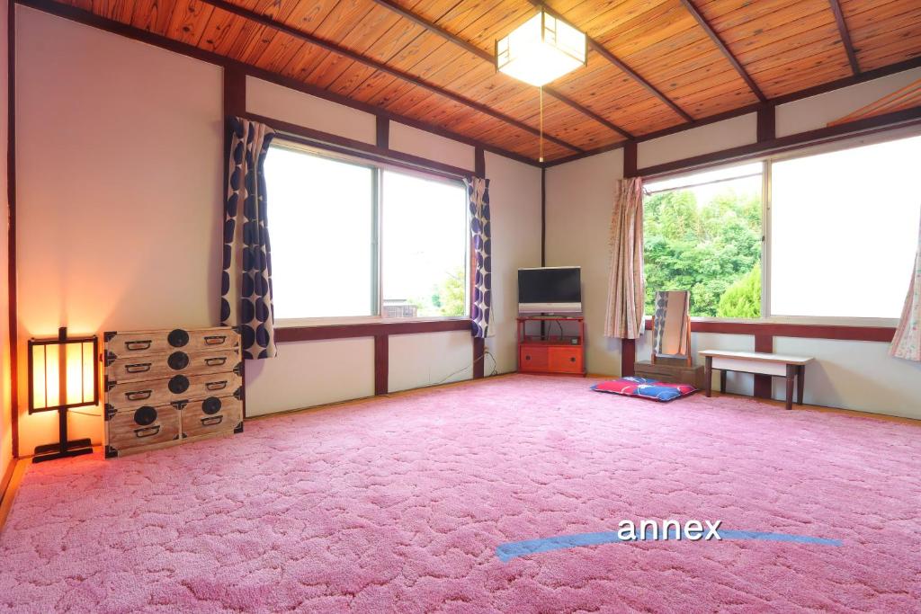 TV a/nebo společenská místnost v ubytování もりのもむ Morinomomu Guest House in Mitsuo