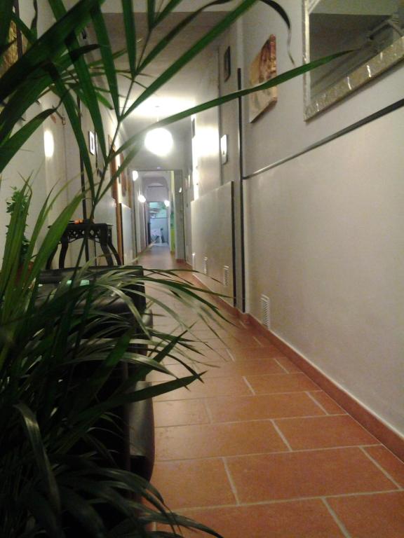 a hallway with a plant next to a building at Emerald Fields Hostel in Florence