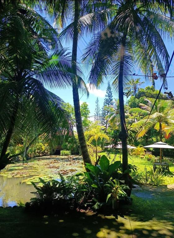 Zahrada ubytování Dumaguete Oasis Treehouse, near airport and mall