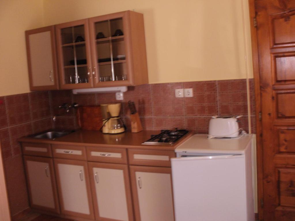 Kuchyňa alebo kuchynka v ubytovaní Bodzavirág Apartman