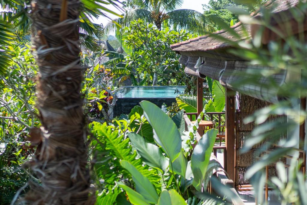 Zahrada ubytování Mahadana Ubud