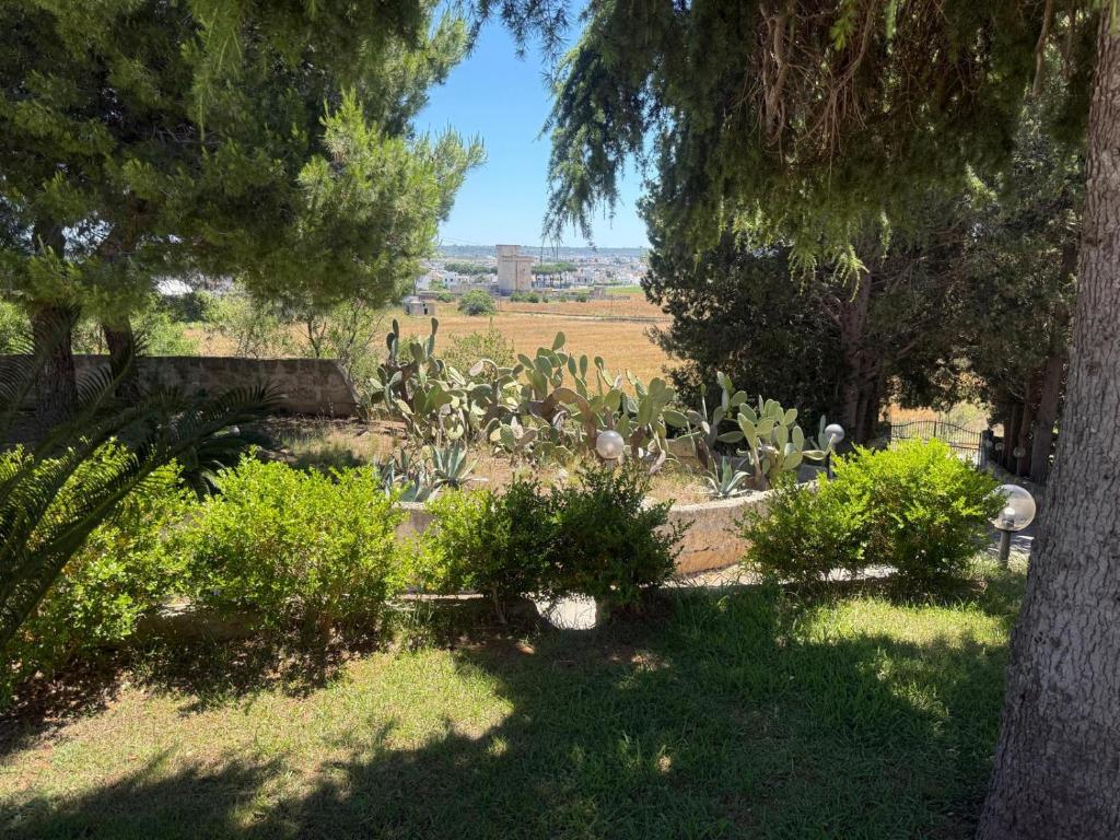 Zahrada ubytování Masseria Patese