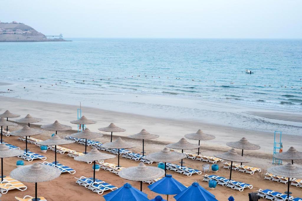 Příroda nedaleko rezortu