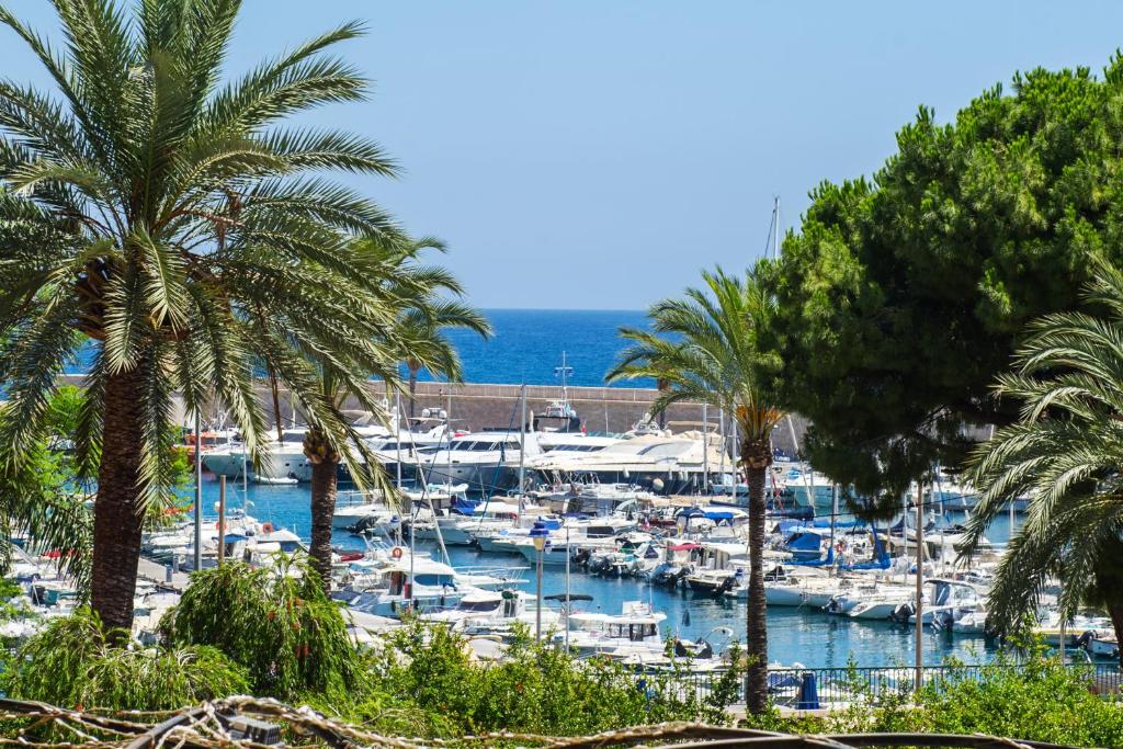 un groupe de bateaux amarrés dans un port de plaisance avec des palmiers dans l'établissement Vieille ville vue mer, à deux pas de la plage!, à Menton