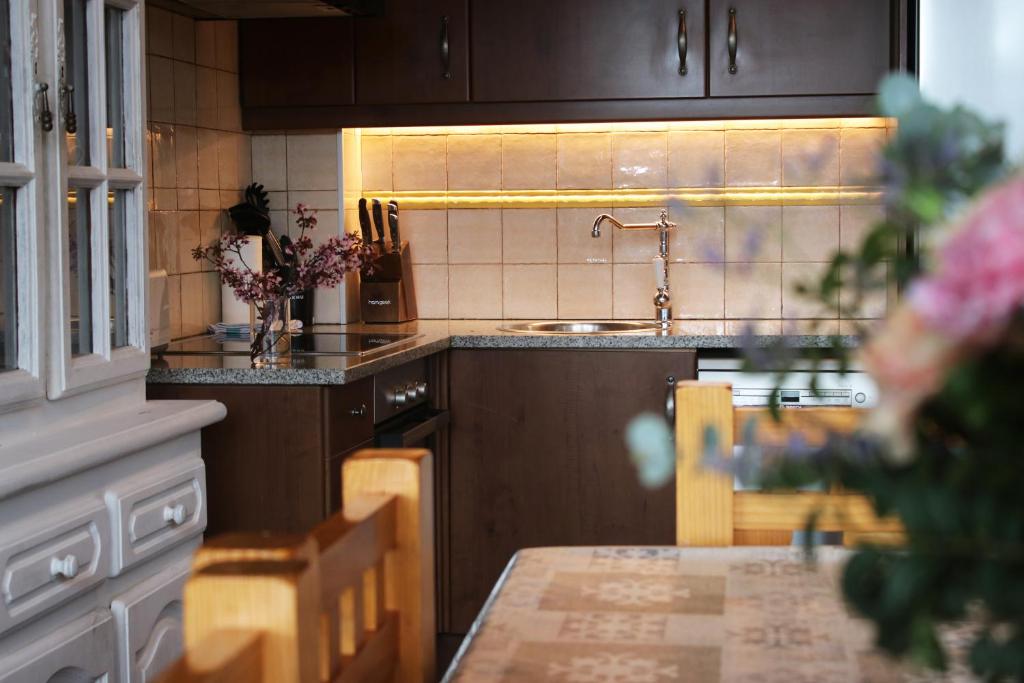 Kuchyň nebo kuchyňský kout v ubytování Mas merolla casa para descanso familiar