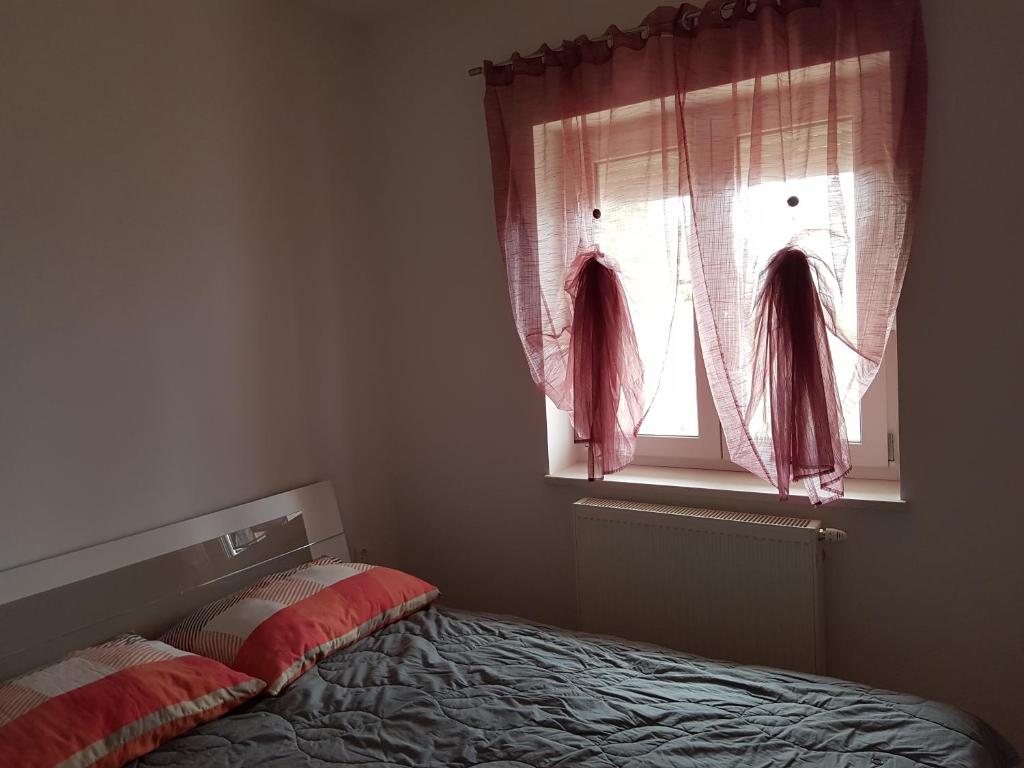 Apartments Tereza - 5