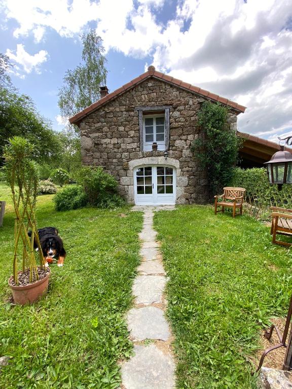 un chien pondant dans l'herbe devant une maison en pierre dans l'établissement La Borie Maisonnette de Charme en Pierres 80m2, à Chenereilles