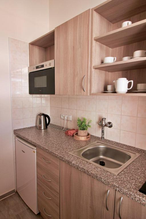 Hotel Palác Elektra - Resim 13