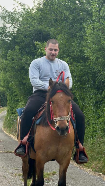 Jízda na koni v kempu nebo okolí