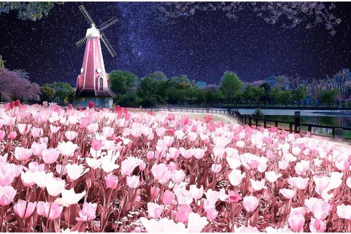 Zahrada ubytování 桜の宿