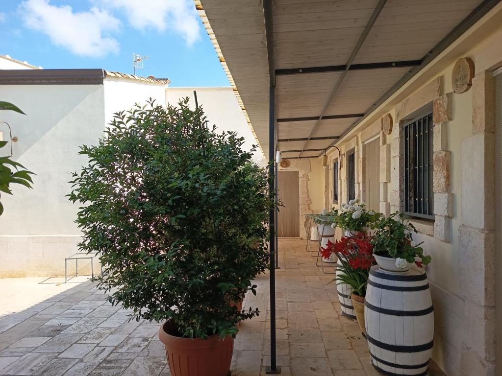 Fotografie z fotogalerie ubytování B&B Il Mulino del Monastero v destinaci Conversano
