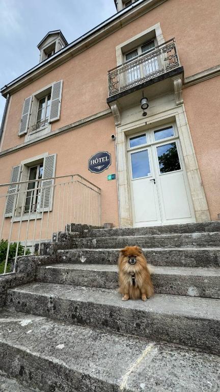 Domácí mazlíčci ubytovaní s hosty v ubytování Auberge Côté Rivière