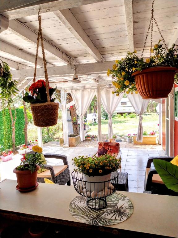 a table with potted plants hanging from the ceiling at Menƴ's Azure Escape in Dhíkella