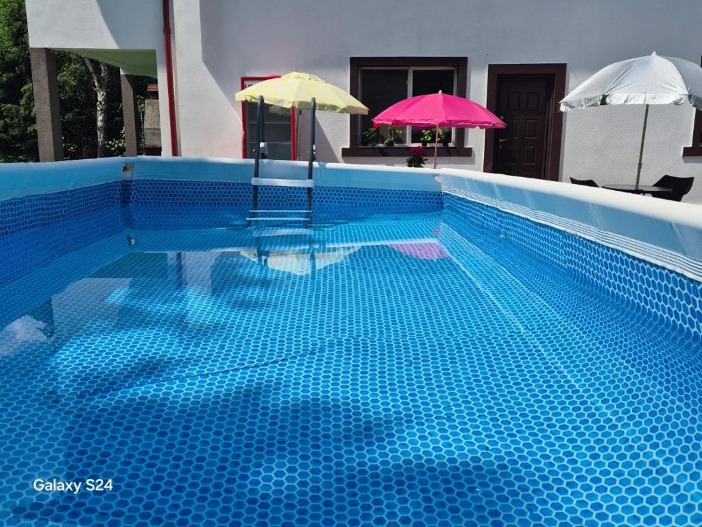 a blue swimming pool with a pink umbrella and a pink umbrella at Vila Roberta Breaza ,BV in Breaza