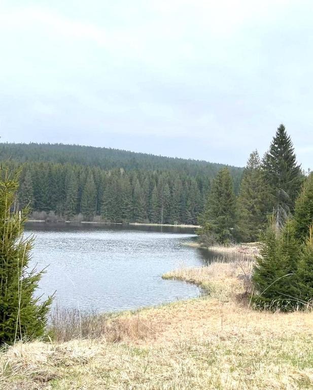 Příroda nedaleko apartmánu