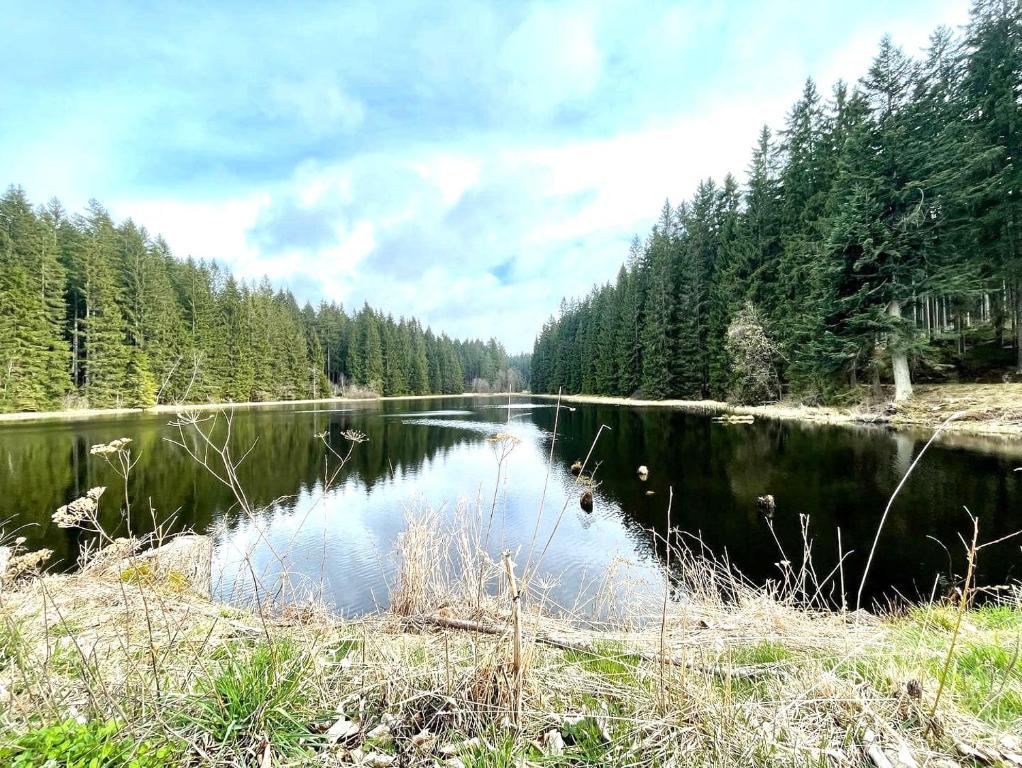 Příroda nedaleko apartmánu