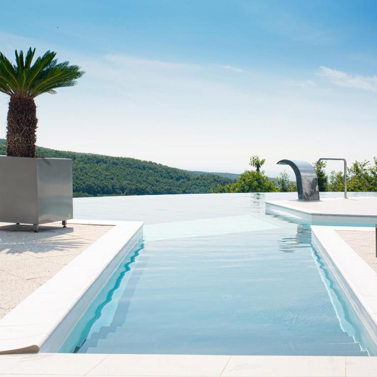 basen z palmą w środku w obiekcie Hotel Ózon & Luxury Villas w mieście Mátraháza