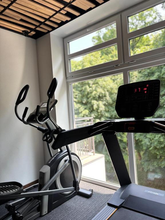 Fitness centrum a/nebo fitness zařízení v ubytování Apartel Shayan