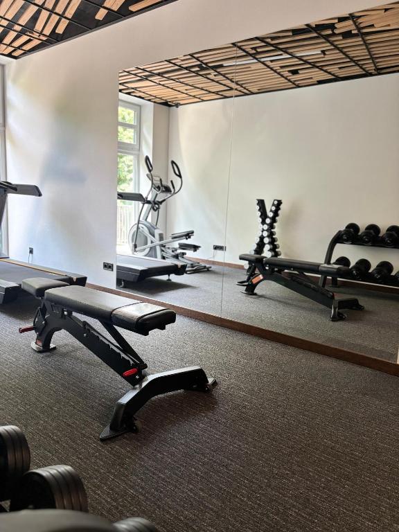 Fitness centrum a/nebo fitness zařízení v ubytování Apartel Shayan
