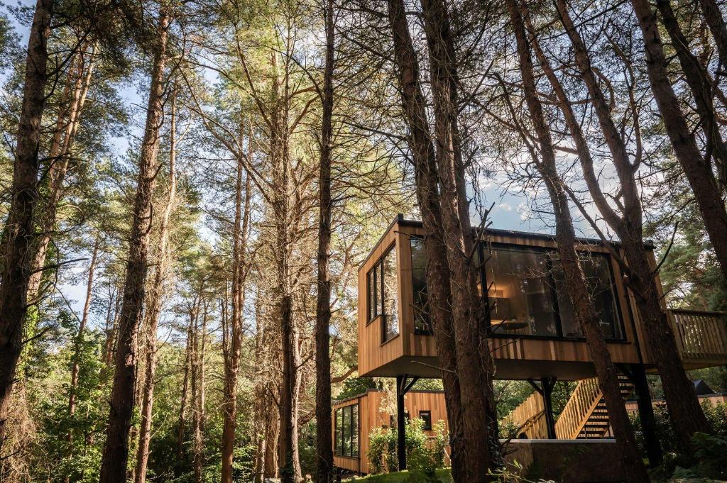 a tree house in the woods with a staircase at Burrenmore Nest - Luxury Forest Lodges with Hot Tubs & Sauna in Castlerock