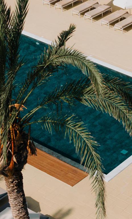 a palm tree next to a swimming pool at Vrachia Beach Hotel & Suites - Adults Only in Paphos
