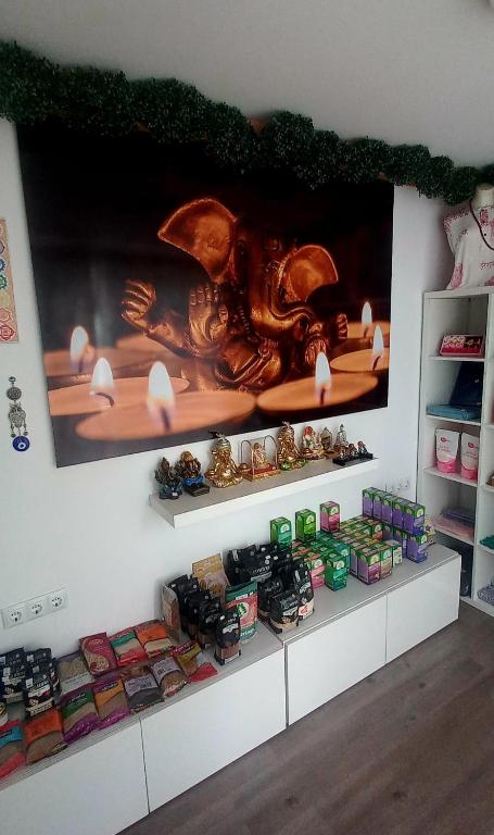 拉拉古纳Natur Vida Home Tenerife的房间里有多个架子，上面放着玩具