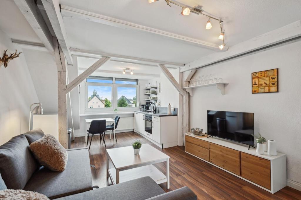 TV a/nebo společenská místnost v ubytování cruwzo- Moderne & gemütliche Apartments