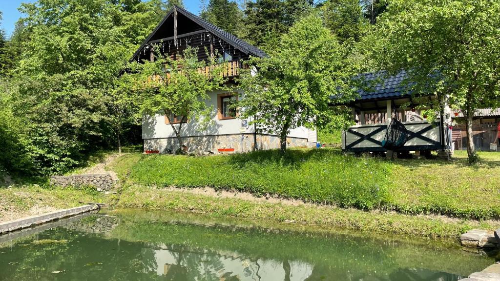 a house next to a river with a building at Elizabeth in Mykulychyn