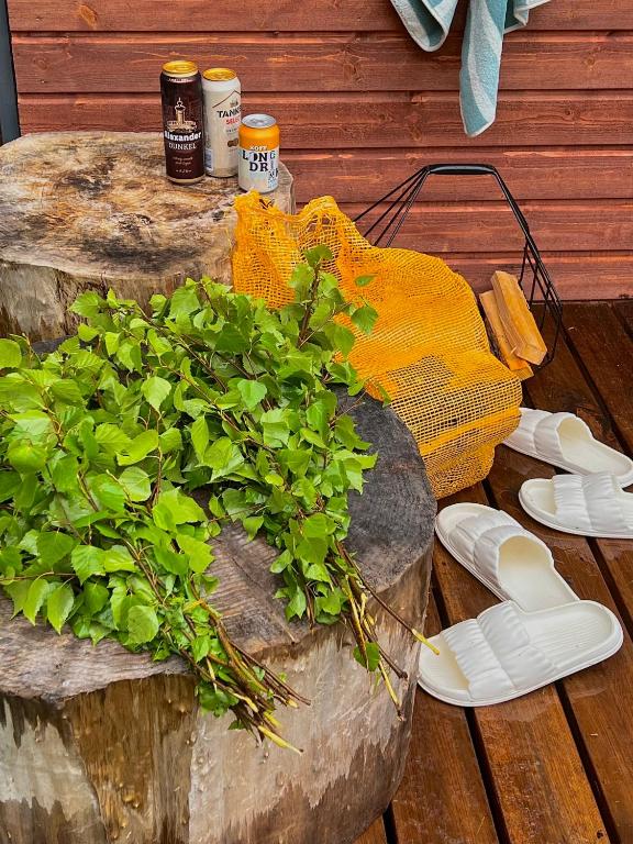 Zahrada ubytování Roheluse metsamaja with hot tub and sauna