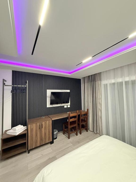TV a/nebo společenská místnost v ubytování Hotel Agron