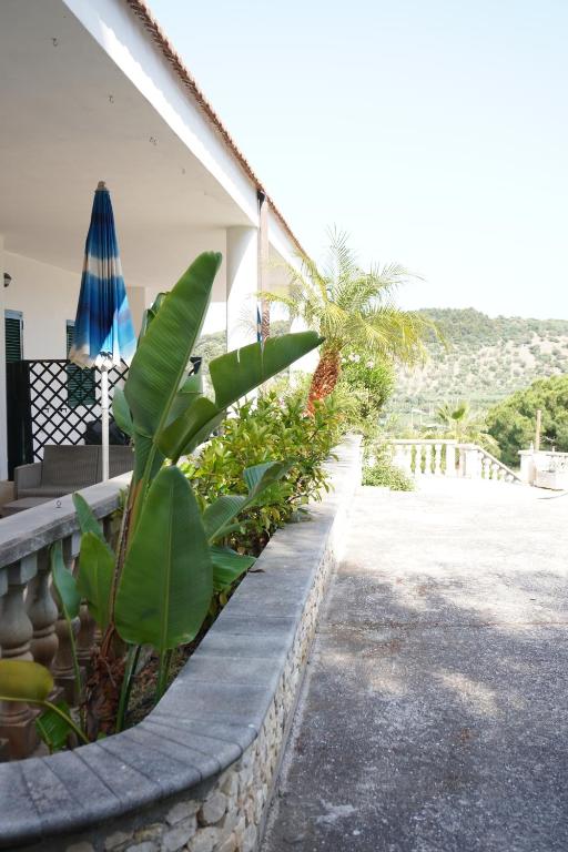 Residence Il Falco - 11