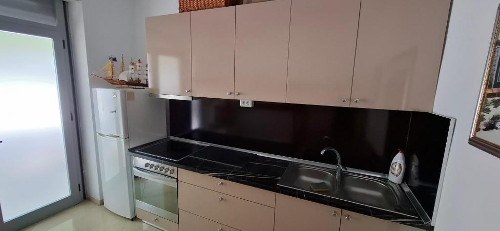 Kuchyň nebo kuchyňský kout v ubytování TreRacat Apartment