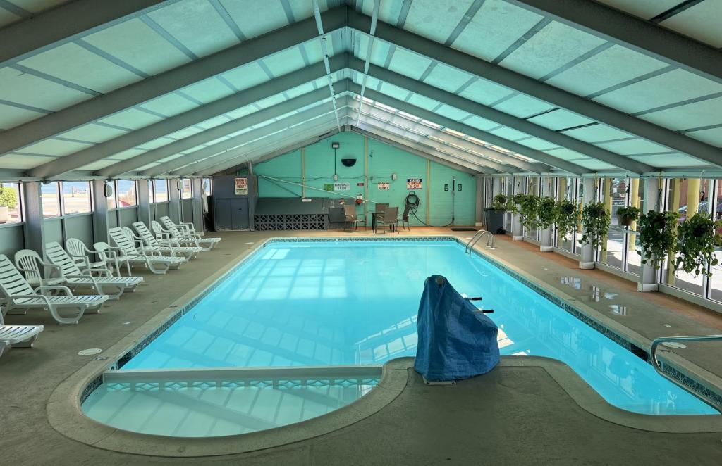 a large swimming pool with chairs in a building at Seahawk Motel in Virginia Beach