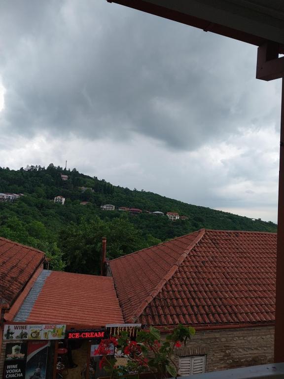 Příroda nedaleko hotelu
