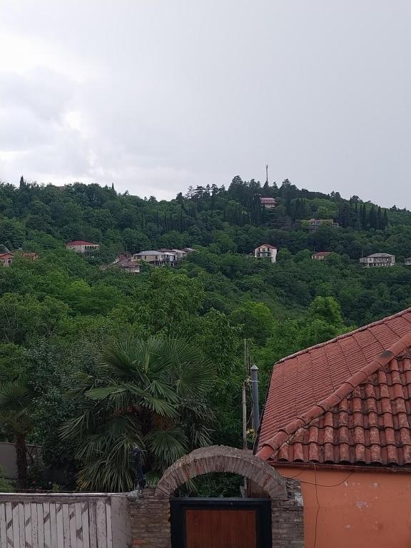 Příroda nedaleko hotelu