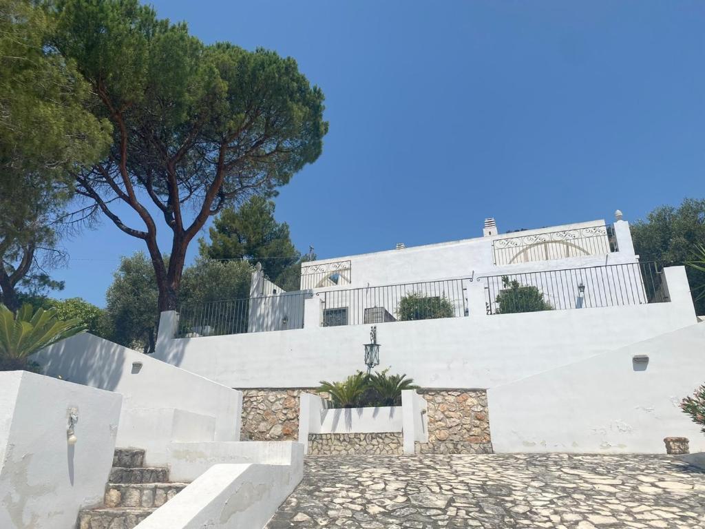 Το κτήριο όπου στεγάζεται  η βίλα
