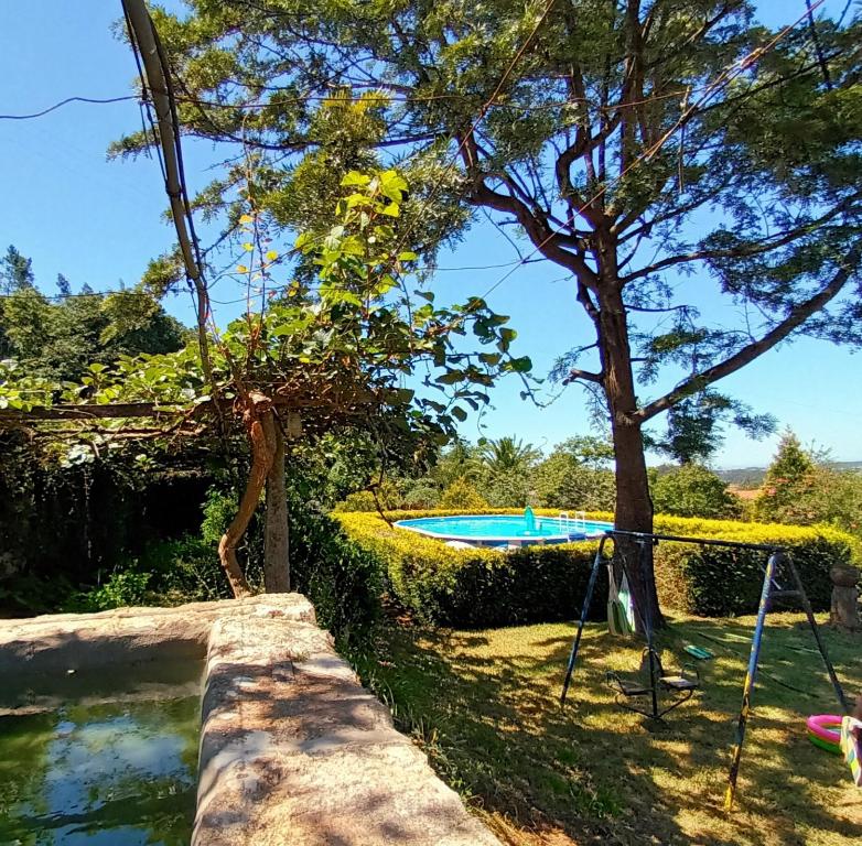 a swimming pool with a tree and a swing at Quinta da Regada in Arcos