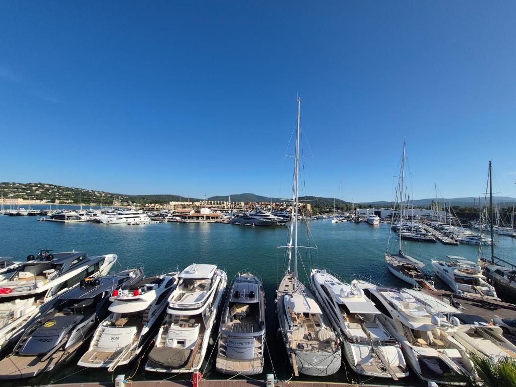 un groupe de bateaux amarrés dans un port dans l'établissement Les Tropéziennes - Chic Triplex Balcon Vue Marina, à Cogolin