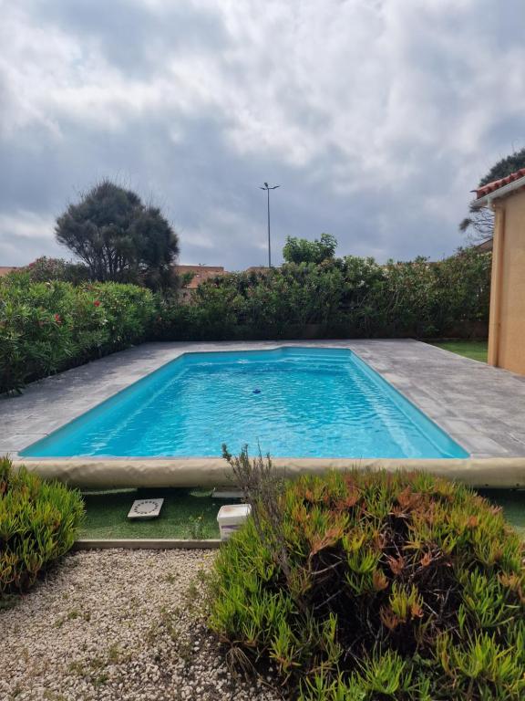 - une grande piscine dans une cour avec des buissons dans l'établissement La villa d elisa, à Leucate
