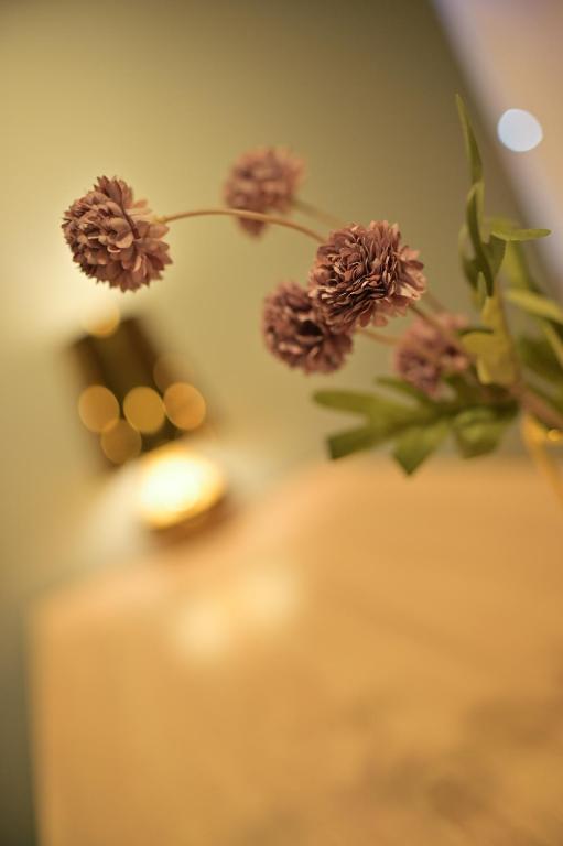 12 Revay Hotel - Resim 40