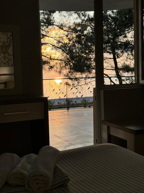Příroda nedaleko aparthotelu