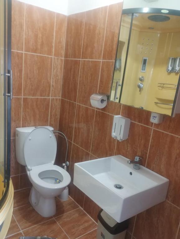 Koupelna v ubytování BoHan sobe Vladičin Han