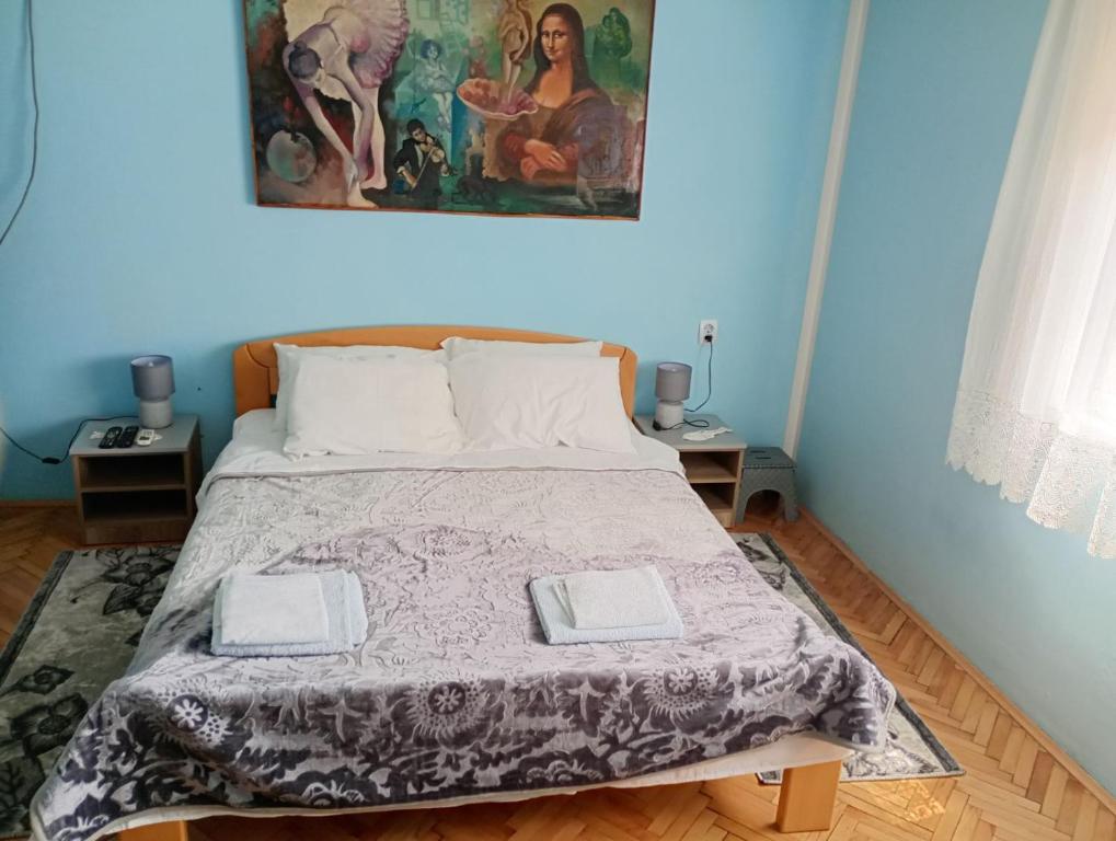 Postel nebo postele na pokoji v ubytování BoHan sobe Vladičin Han
