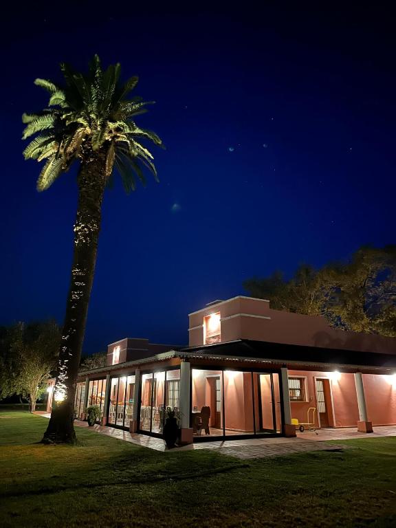 a palm tree in front of a building at night at Establecimiento Don Elder in Sunchales