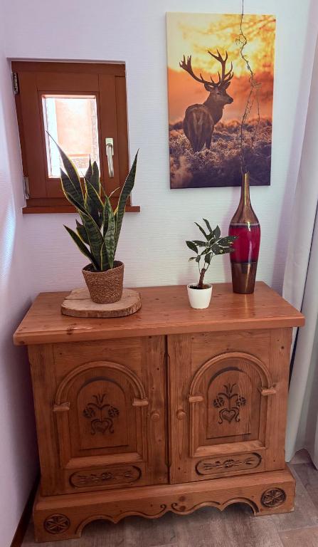 Gîtes Hassenforder – photo 29
