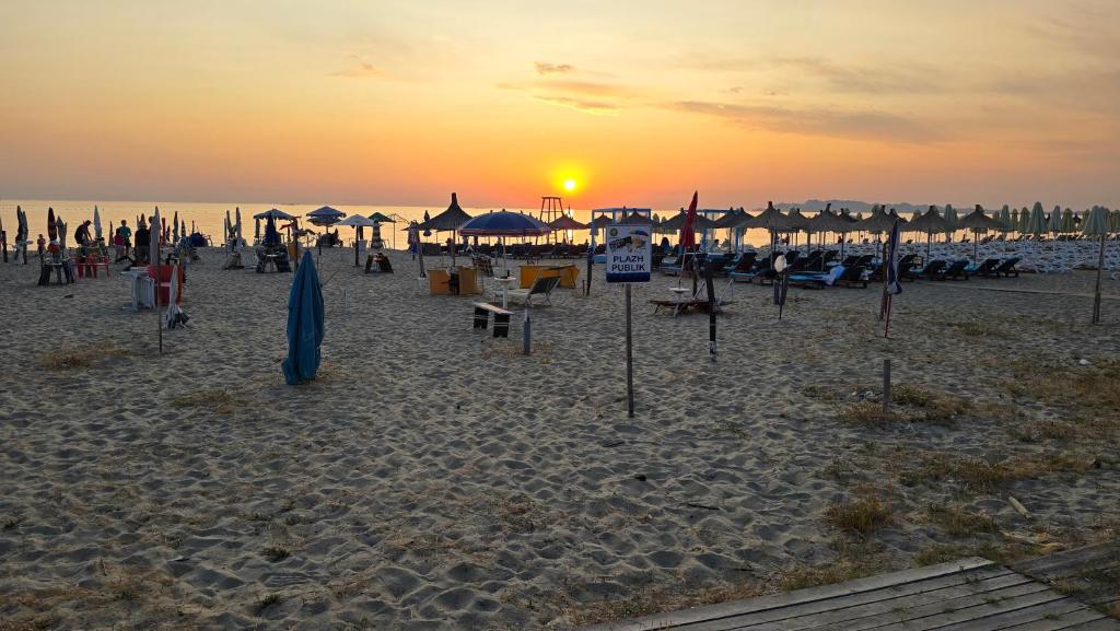 Ejoa summer