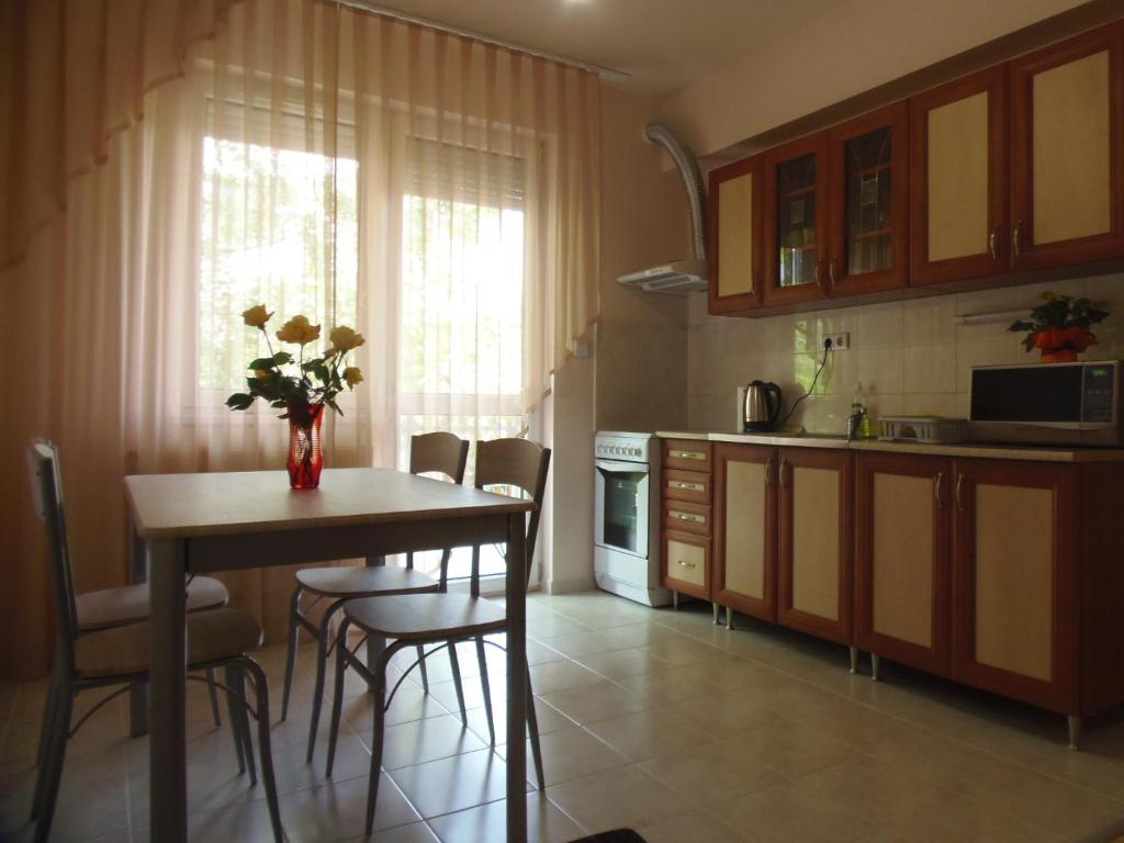 ハイドゥソボスローにあるSunhouse Apartmanのキッチン(テーブル、椅子、花のテーブル付)
